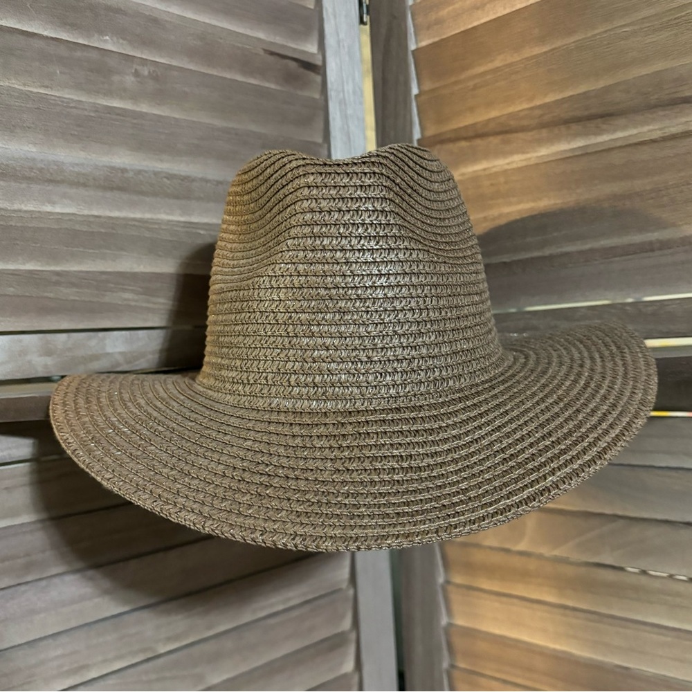 Brown Fedora Hat